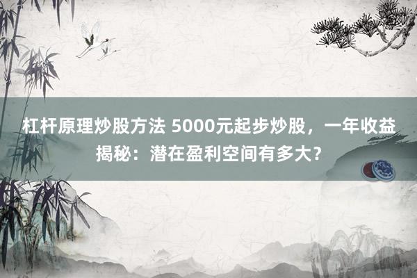 杠杆原理炒股方法 5000元起步炒股，一年收益揭秘：潜在盈利空间有多大？