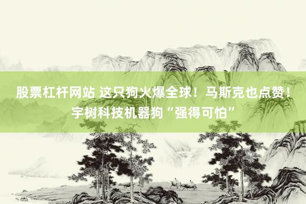 股票杠杆网站 这只狗火爆全球！马斯克也点赞！宇树科技机器狗“强得可怕”