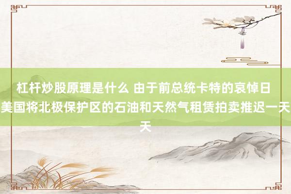 杠杆炒股原理是什么 由于前总统卡特的哀悼日 美国将北极保护区的石油和天然气租赁拍卖推迟一天