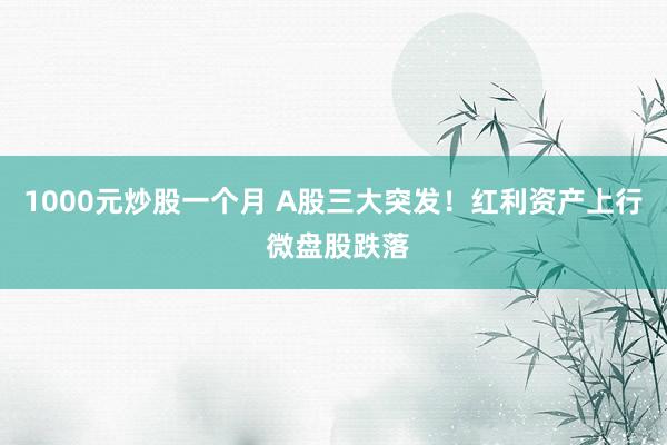 1000元炒股一个月 A股三大突发！红利资产上行 微盘股跌落