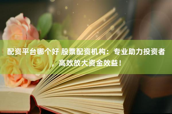 配资平台哪个好 股票配资机构：专业助力投资者，高效放大资金效益！