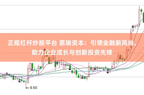 正规杠杆炒股平台 恩瑞资本：引领金融新风尚，助力企业成长与创新投资先锋