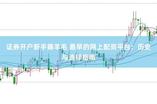 证券开户新手薅羊毛 最早的网上配资平台：历史与选择指南