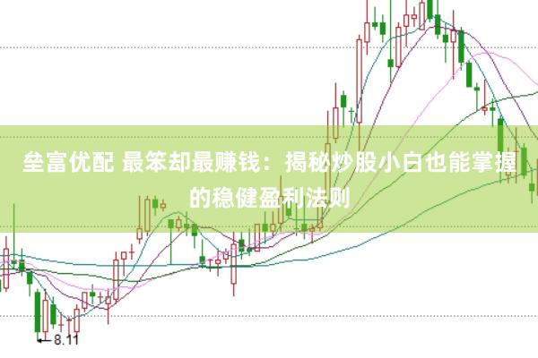 垒富优配 最笨却最赚钱：揭秘炒股小白也能掌握的稳健盈利法则