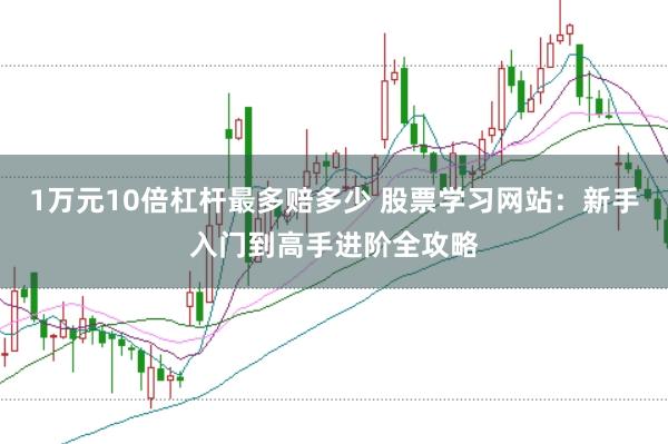 1万元10倍杠杆最多赔多少 股票学习网站：新手入门到高手进阶全攻略