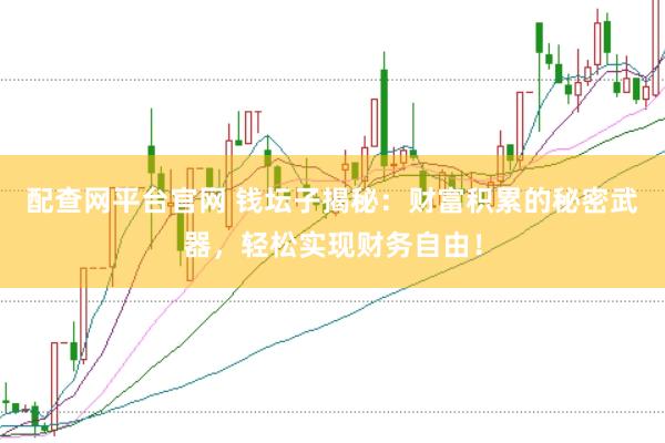配查网平台官网 钱坛子揭秘：财富积累的秘密武器，轻松实现财务自由！