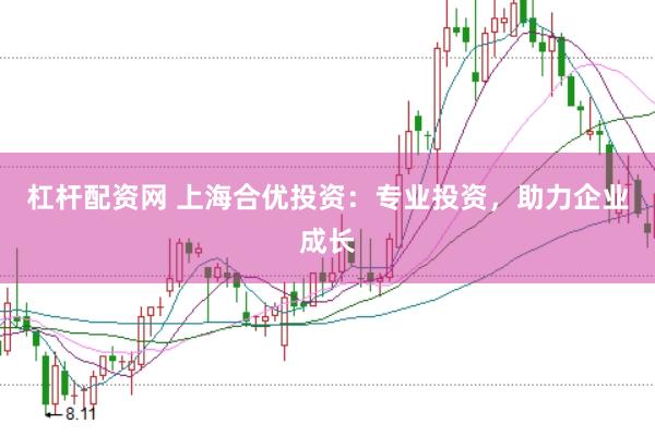 杠杆配资网 上海合优投资：专业投资，助力企业成长