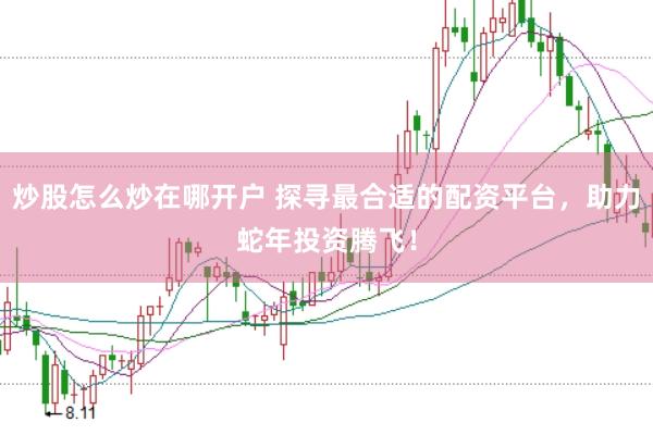 炒股怎么炒在哪开户 探寻最合适的配资平台，助力蛇年投资腾飞！