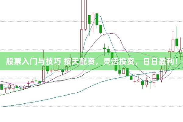 股票入门与技巧 按天配资，灵活投资，日日盈利！