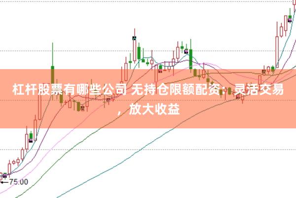 杠杆股票有哪些公司 无持仓限额配资：灵活交易，放大收益