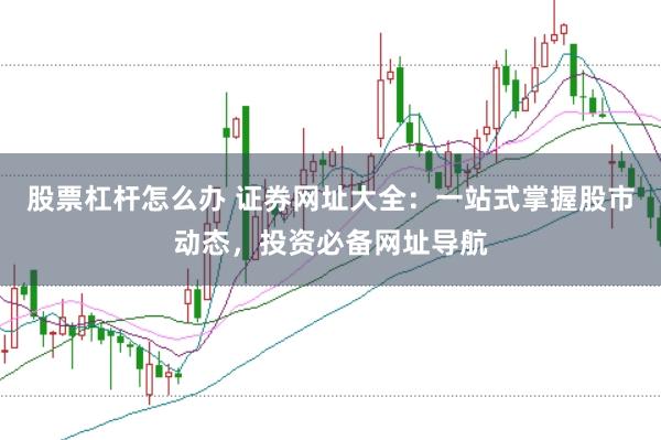 股票杠杆怎么办 证券网址大全：一站式掌握股市动态，投资必备网址导航