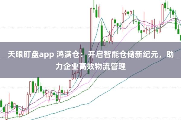 天眼盯盘app 鸿满仓：开启智能仓储新纪元，助力企业高效物流管理