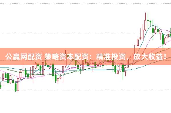 公赢网配资 策略资本配资：精准投资，放大收益！