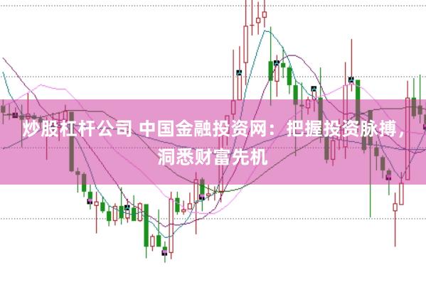 炒股杠杆公司 中国金融投资网：把握投资脉搏，洞悉财富先机