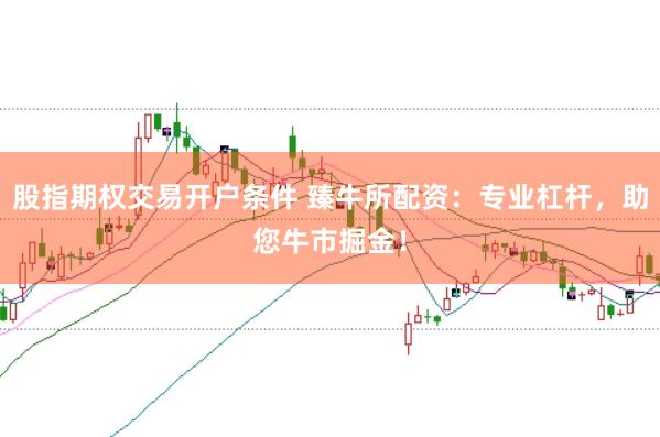 股指期权交易开户条件 臻牛所配资：专业杠杆，助您牛市掘金！