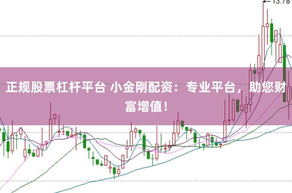 正规股票杠杆平台 小金刚配资：专业平台，助您财富增值！