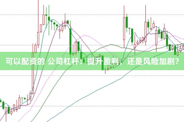 可以配资的 公司杠杆：提升盈利，还是风险加剧？