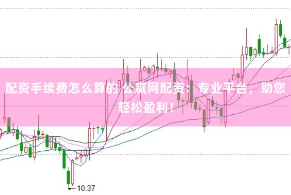 配资手续费怎么算的 公赢网配资：专业平台，助您轻松盈利！