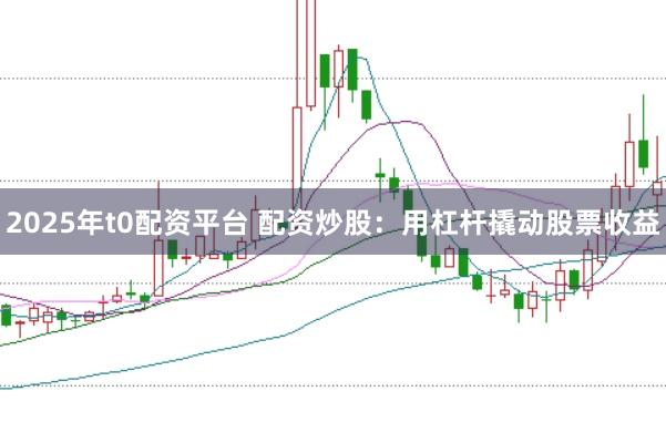 2025年t0配资平台 配资炒股：用杠杆撬动股票收益