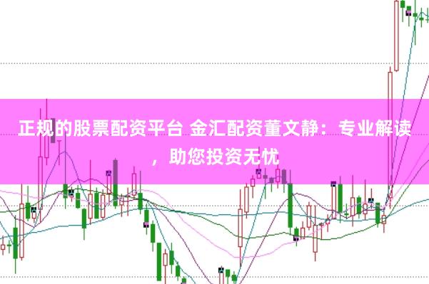 正规的股票配资平台 金汇配资董文静：专业解读，助您投资无忧