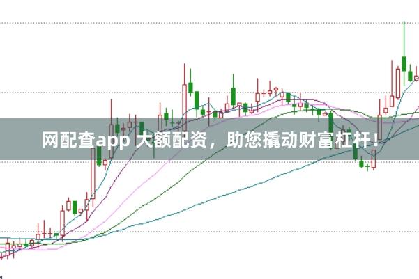 网配查app 大额配资，助您撬动财富杠杆！