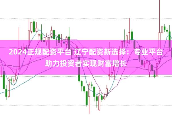 2024正规配资平台 辽宁配资新选择：专业平台助力投资者实现财富增长