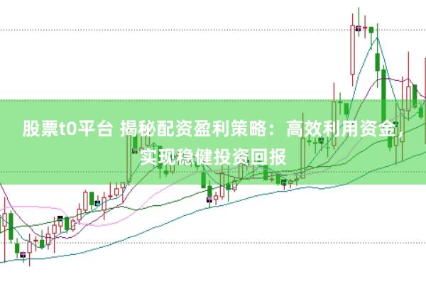 股票t0平台 揭秘配资盈利策略:高效利用资金,实现稳健投资回报