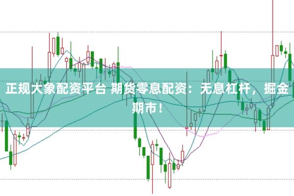 正规大象配资平台 期货零息配资：无息杠杆，掘金期市！